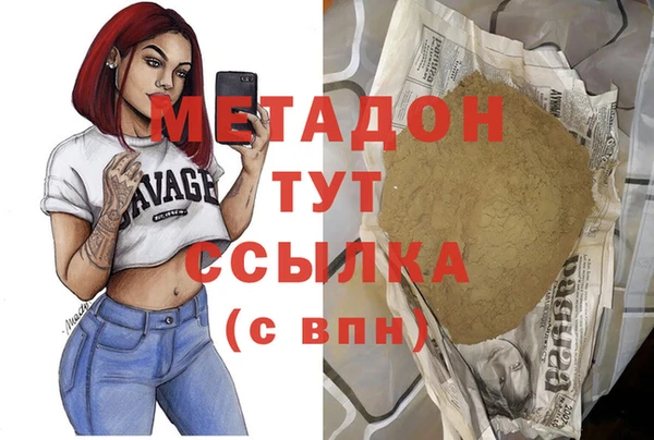 индика Гусев
